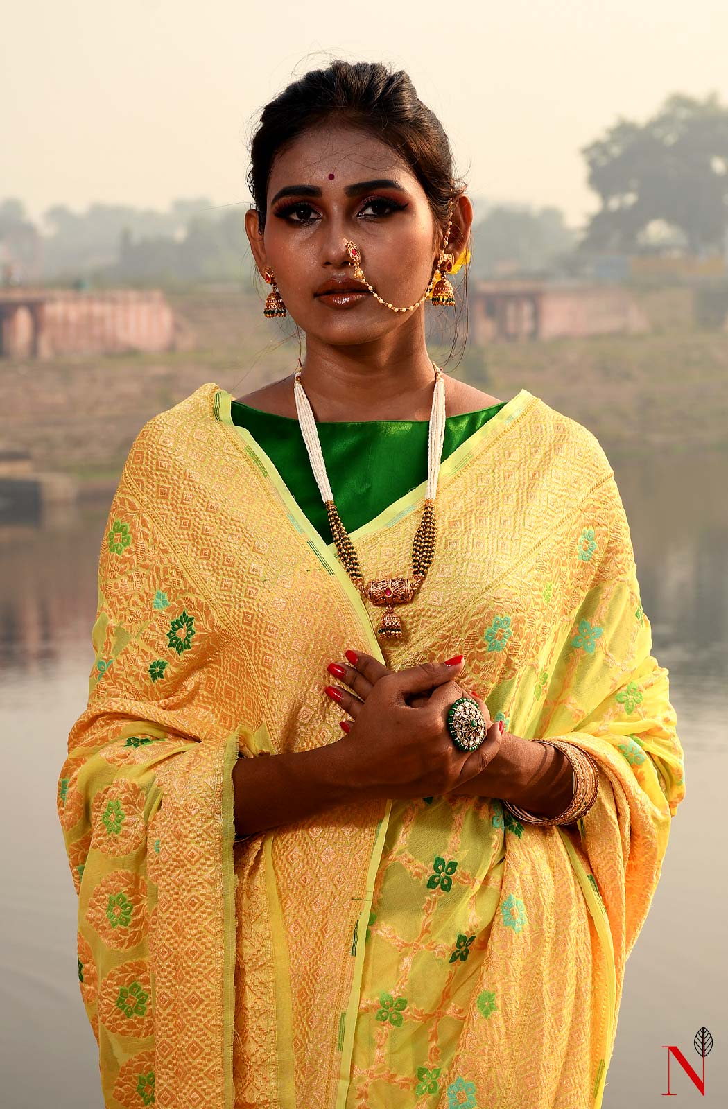 Lemon Pure Banarasi Chiffon Saree