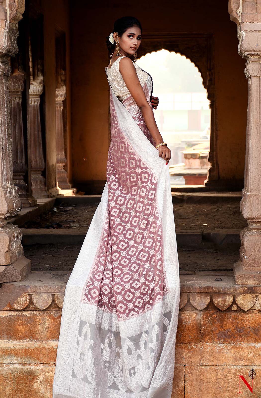 Light Brown Pure Banarasi Khaddi Georgette Saree - Naksheband