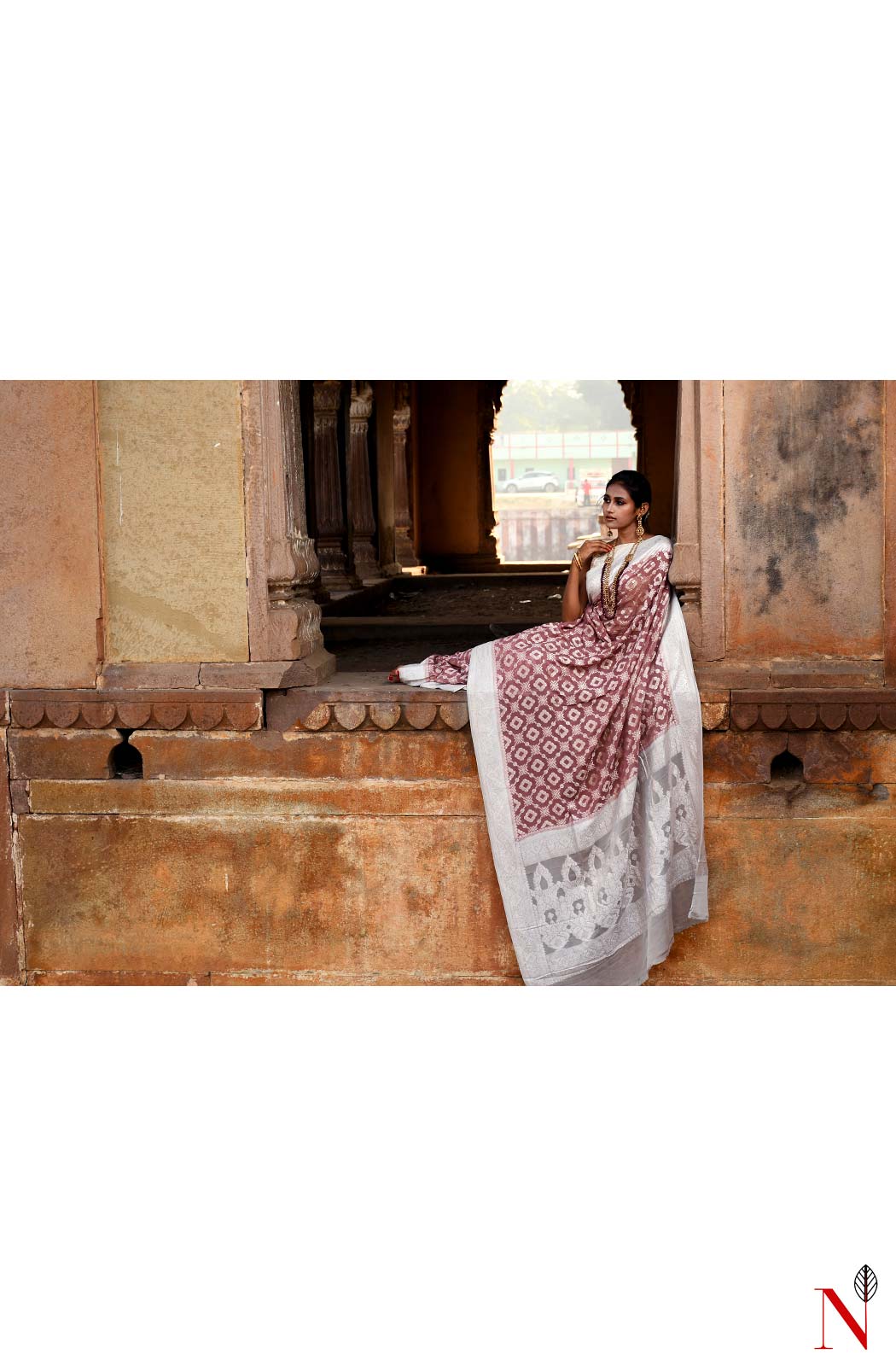 Light Brown Pure Banarasi Khaddi Georgette Saree