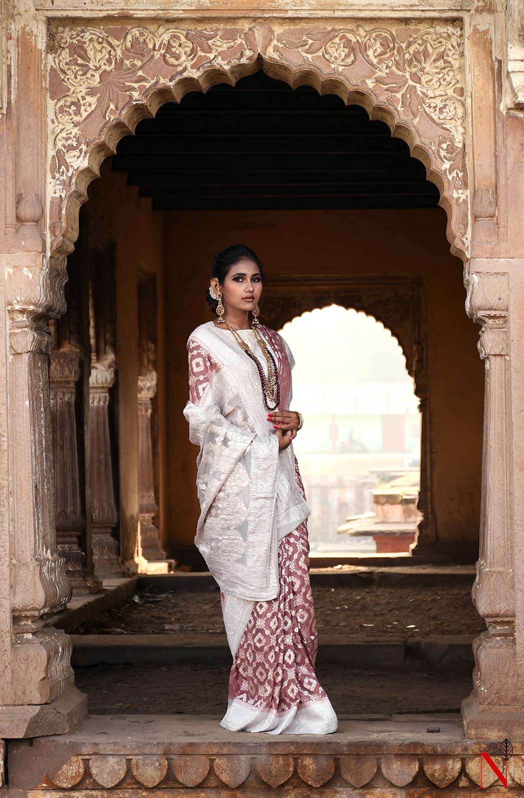 Light Brown Pure Banarasi Khaddi Georgette Saree - Naksheband