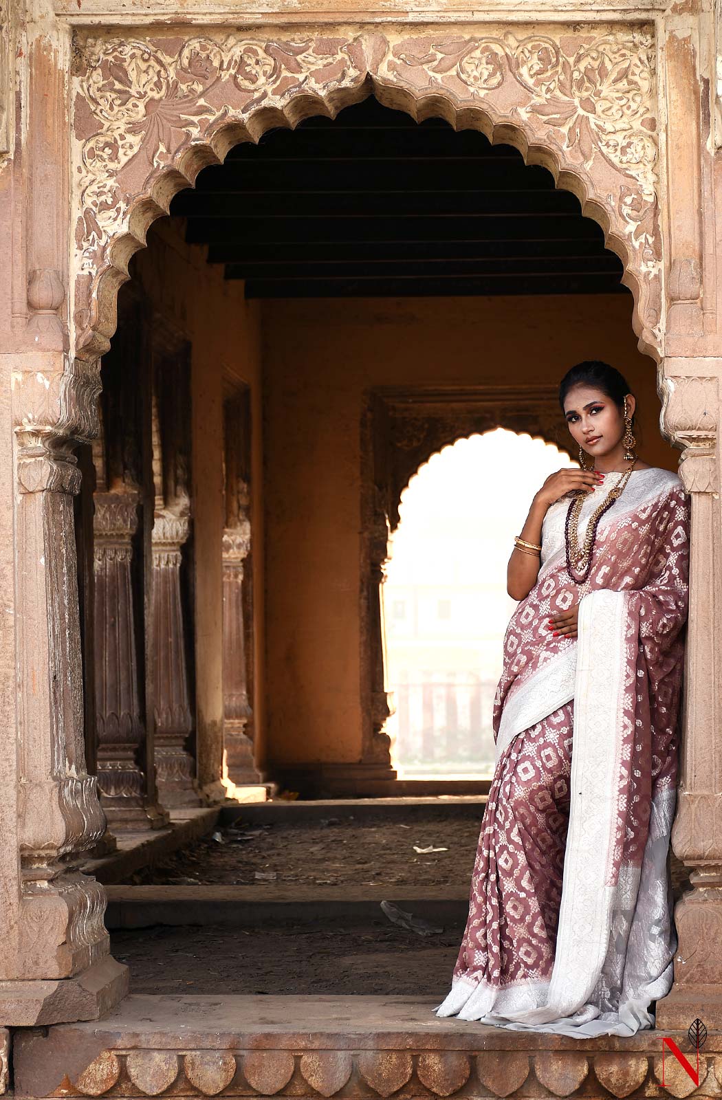 Light Brown Pure Banarasi Khaddi Georgette Saree - Naksheband