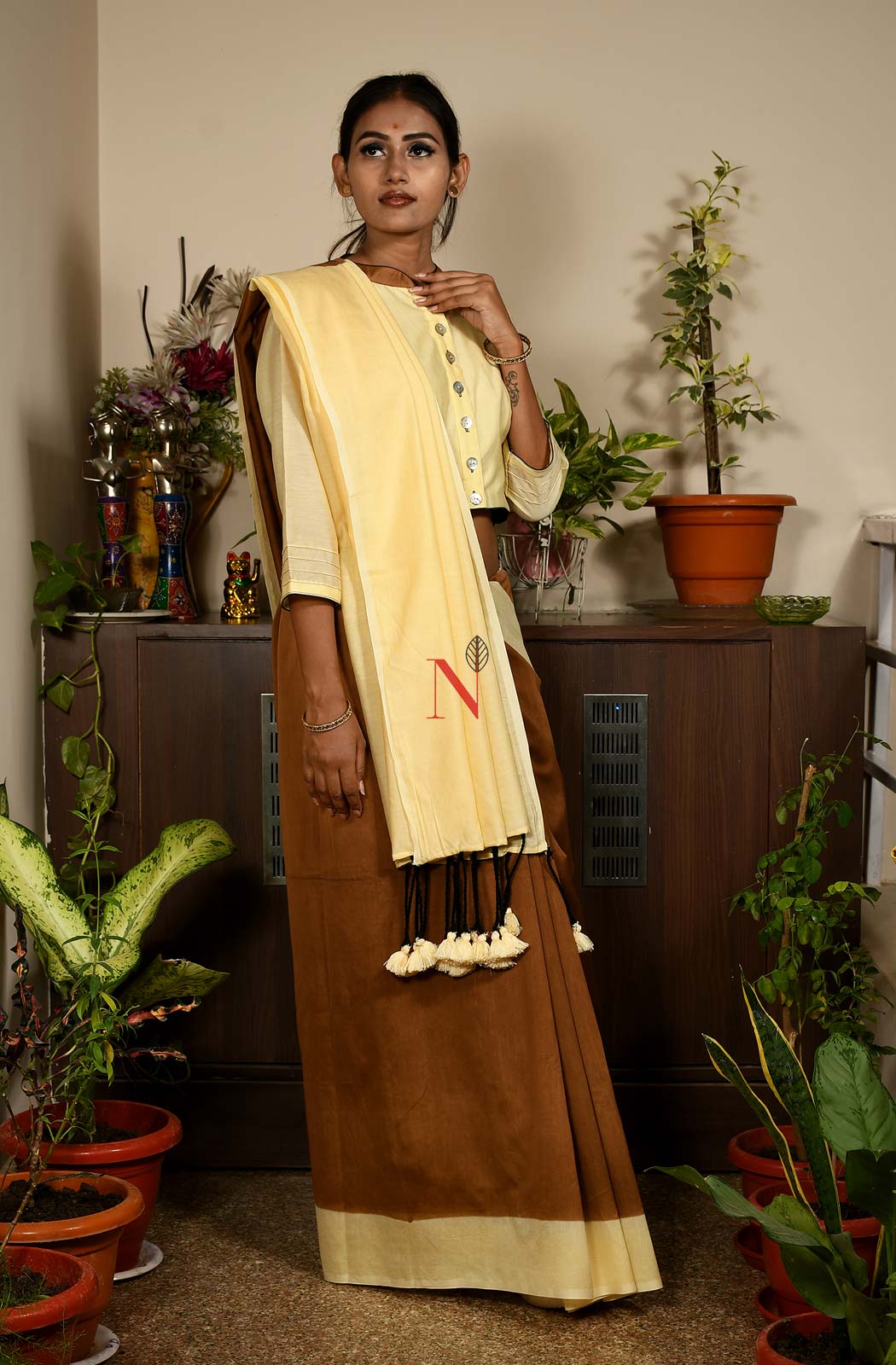 Brown & Cream Pure Silk Chanderi Saree - Naksheband
