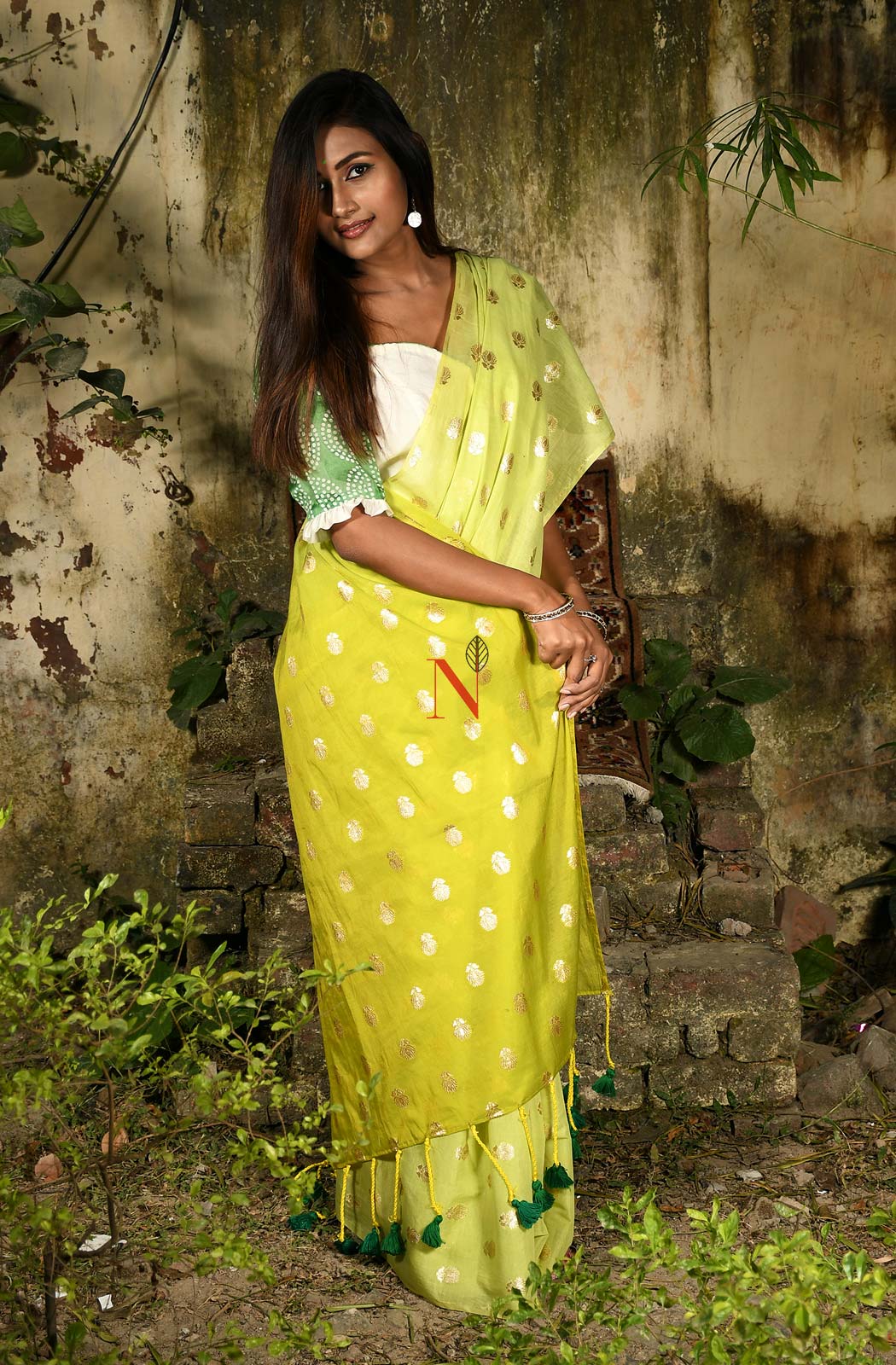 Light Green & Olive Pure Silk Chanderi Saree - Naksheband