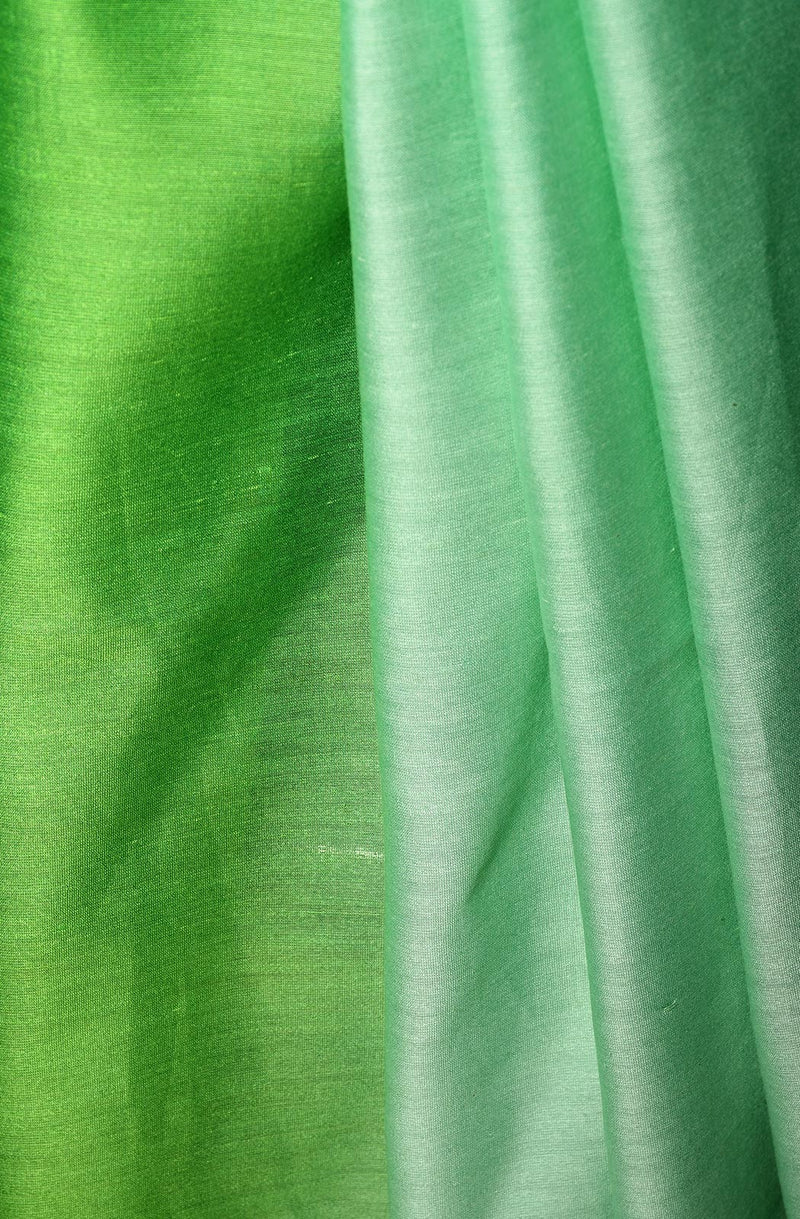 Mint Green Pure Silk Chanderi Saree - Dual Green - Naksheband