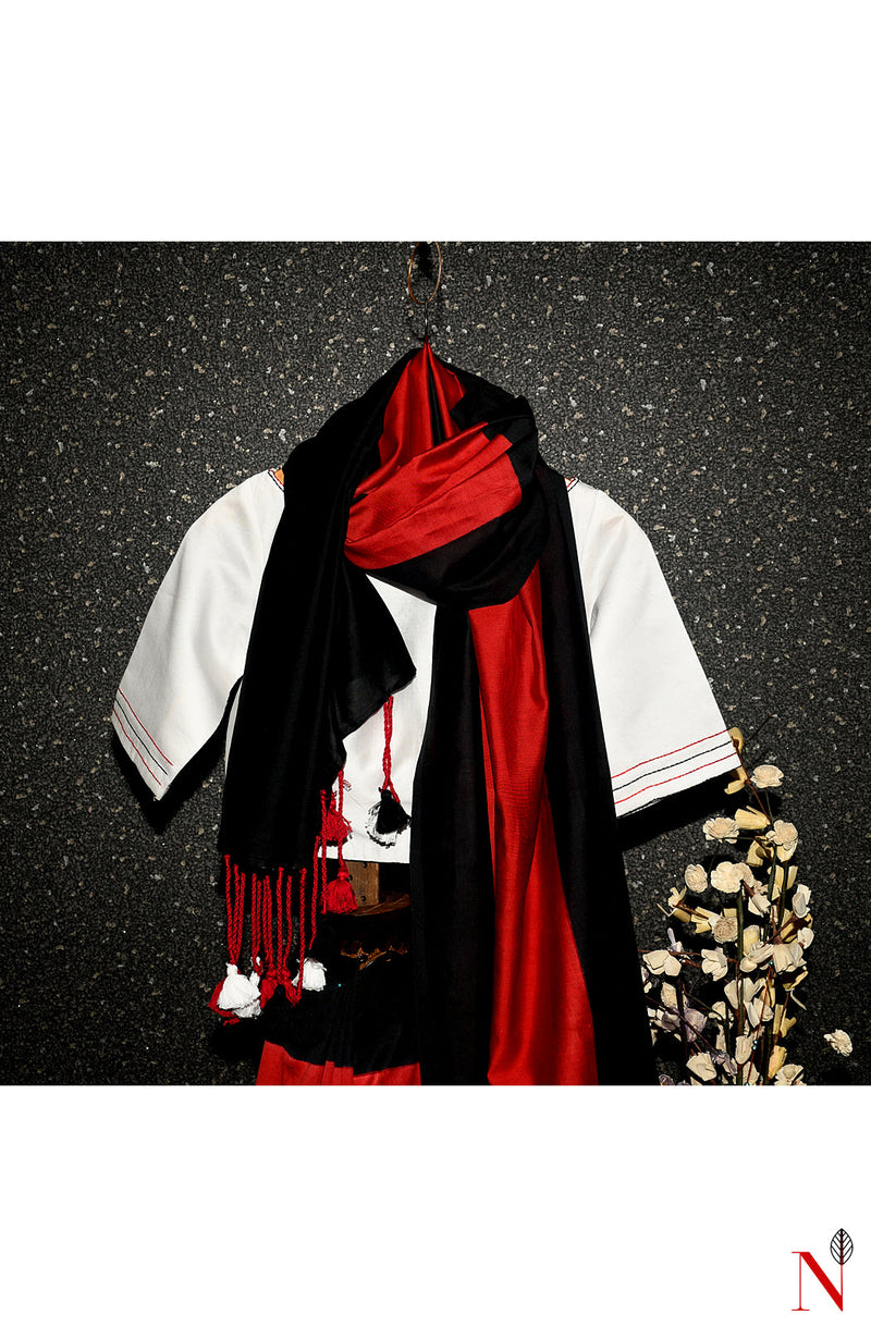 Red and Black Pure Silk Chanderi Chap Dye Saree