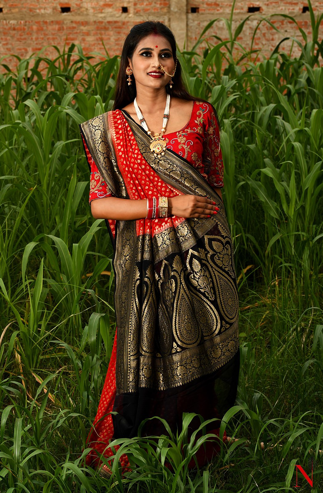 Red & Black Pure Banarasi Khaddi Georgette Saree - Rudra - Naksheband