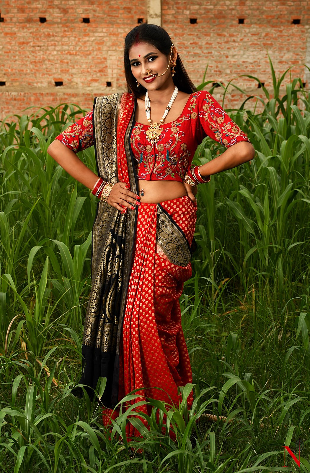 Red & Black Pure Banarasi Khaddi Georgette Saree - Rudra - Naksheband