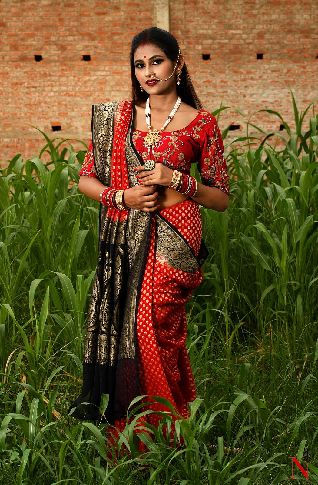 Red & Black Pure Banarasi Khaddi Georgette Saree - Rudra - Naksheband