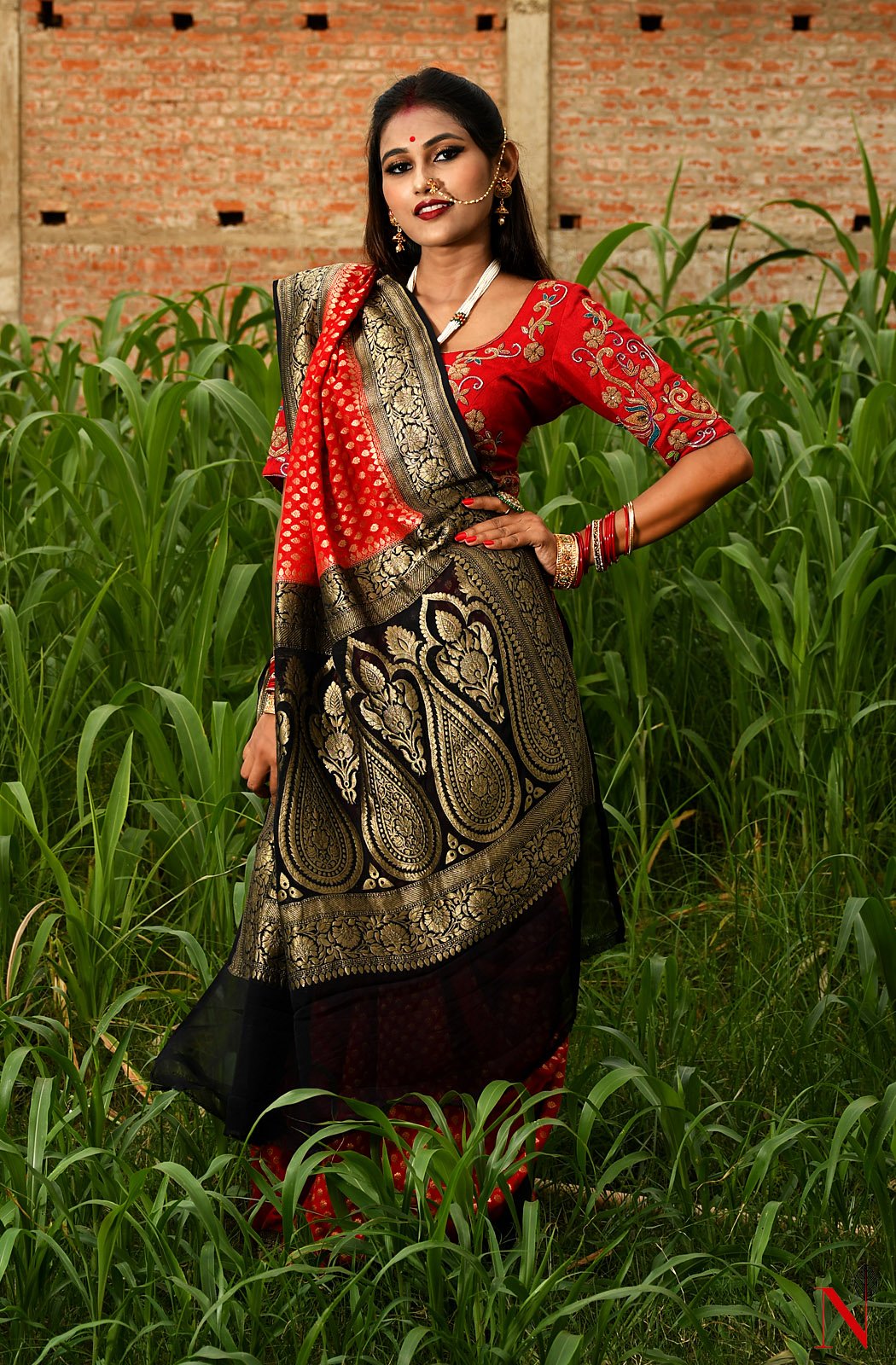 Red & Black Pure Banarasi Khaddi Georgette Saree - Rudra - Naksheband