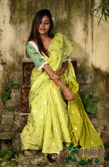 Light Green & Olive Pure Silk Chanderi Saree