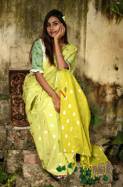 Light Green & Olive Pure Silk Chanderi Saree - Naksheband