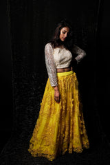 Beige And Yellow Color Indowestern Designer Skirt Set - Kings Gold - Naksheband