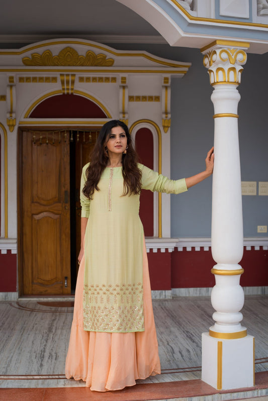 Peach Base With Pista Gota Patti Designer Gown - Umber - Naksheband